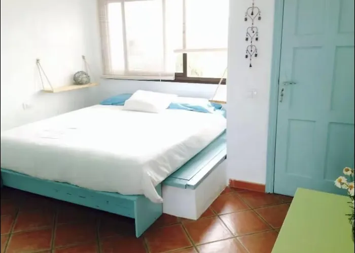 Ballena Villa Lajares